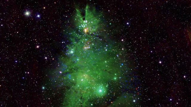 <b>NASA observă o formă uimitoare în cosmos; Brad de Crăciun la 2500 de ani-lumină</b>Imaginează-ți un brad de Crăciun cosmic, iluminat de stele și nebuloase, în locul globurilor tradiționale. Asta e ceea ce a captat NASA cu observatorul Chandra, la aproximativ 2500 de ani-lumină depărtare de Terra. E vorba de NGC 2264, o halmaz de stele..