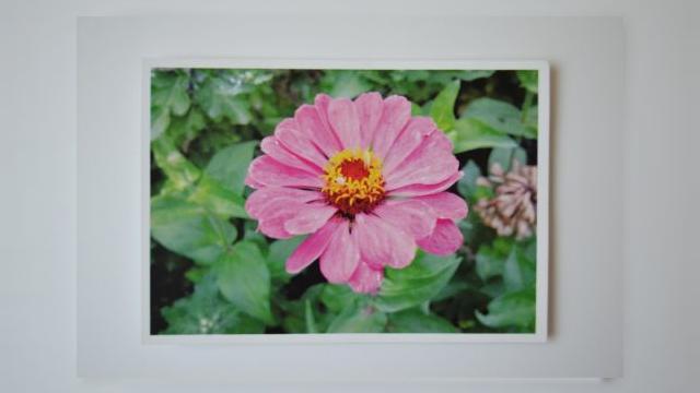 <b>Iată cum arată cărțile poștale expediate prin intermediul aplicației Felicitaro</b>Acum o săptăm&acirc;nă din cadrul unui articol aici pe Mobilissimo, vă prezentam o aplicație foarte interesantă dezvoltată de rom&acirc;ni, și anume Felicitaro. După cum și numele acesteia ne sugerează, este vorba despre o aplicație ce ne...