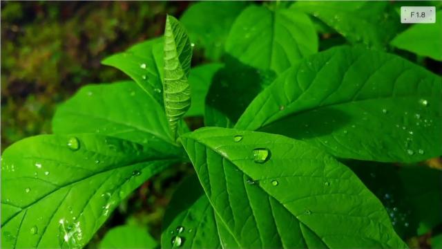 <b>LG G4 ne uimeşte cu o serie de capturi foto fantastice în natură; Deschiderea F/1.8 e vitală! (Video)</b>Nu ştiu dacă va mai amintiţi de acel temerar fotograf care a cobor&acirc;t &icirc;ntr-un vulcan pentru a face fotografii cu LG G3... Ei bine LG G4 primeşte un clip similar, cu un fotograf care a călătorit pe tot globul cu DSLR-ul &icirc;n...