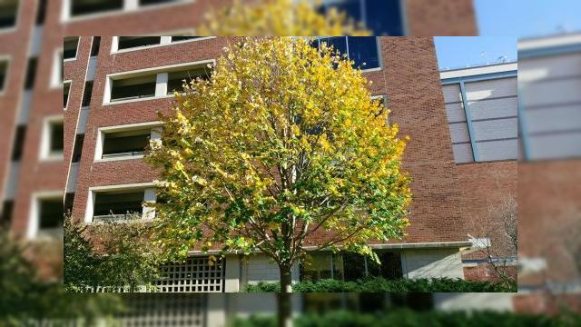 <b>Iată o serie de fotografii realizate cu HTC One A9: culori realiste la exterior, iluminare bună, dar şi ceva neclaritate în condiții low light</b>HTC One A9 a ajuns recent la Quickmobile.ro, unde costă 2499 lei şi am văzut si o serie &icirc;ntreagă de recenzii&nbsp;ale sale realizate de site-uri internaţionale in ultima vreme. Azi vedem şi o galerie foto de capturi surprinse cu camera acestui...