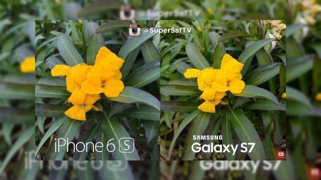 <b>Samsung Galaxy S7 se duelează cu iPhone 6s şi 6s Plus într-un mega test de cameră; Iată cine câştigă! (Video)</b>YouTuber-ul SuperSaf TV a revenit cu una dintre comparaţiile sale celebre de telefoane, la capitolul cameră. Azi se duelează Samsung Galaxy S7/S7 Edge cu iPhone 6S/iPhone 6S Plus. Cine a c&acirc;ştigat aflaţi mai jos. &nbsp; Din start se vede că...