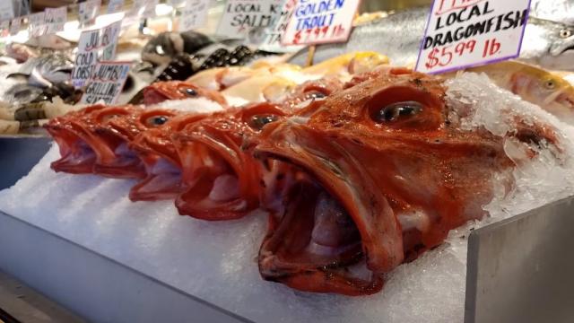 <b>LG G5 primeşte un test de filmare 4K, cu rezultate spectaculoase: un adevărat scurt metraj despre o zi în Seattle (Video)</b>​ LG G5 este telefonul flagship de la LG care se află pe buzele tuturor &icirc;ncă de c&acirc;nd a fost lansat la MWC 2016. Camera sa a fost testată de către un YouTuber faimos numit Armando Ferreira, care ne prezintă c&acirc;teva filmări...