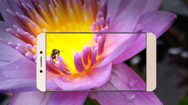 <b>LeEco aduce un nou trio de smartphone-uri pe piață; Le 2, Le 2 Pro și Le Max 2 renunță la portul audio de 3.5 mm</b>Compania chineză LeEco sosește astăzi cu un nou trio de smartphone-uri pe piață, dar nu orice terminale, ci unele care renunță la popularul port 3.5 mm folosit pentru redarea audio prin căști sau boxe portabile. Vorbim despre LeEco Le 2, Le 2 Pro și