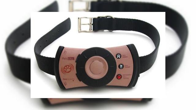 <b>Terminal mobil pentru animalul tau de casa</b>On4 Communications si-a prezentat terminalul ce serveste drept telefon mobil pentru caini. PetsCell este probat in cadrul marilor corporatii din America de Nord, inainte de a fi lansat pentru publicul de masa. Terminalul poseda A-GPS, un modul de urmarire...