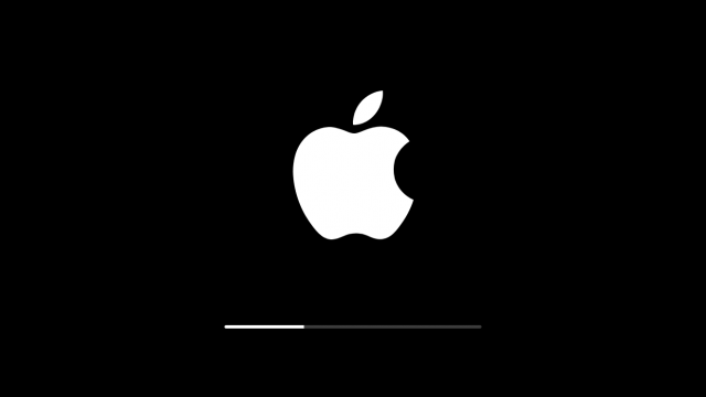 <b>Apple va oferi recompense financiare hackerilor ce găsesc vulnerabilități software în iOS</b>Dacă până acum, Apple lipsea de pe lista companiilor de Silicon Valley ce au venit cu programe speciale pentru găsirea de vulnerabilități software în produsele aduse pe piață. Ei bine, de acum și gigantul din Cupertino vine în întâmpinarea hackerilor