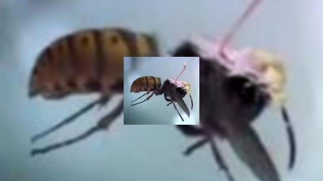 <b>Marimea conteaza, varianta Samsung pentru reclama seriei Ultra</b>Se pare ca Samsung a abandonat metodele traditionale de reclama in cadrul campaniei de promovare a noii serii Ultra. Aflati cat de mult conteaza marimea, in special milimetrii in aprecierea noilor terminale, din clipul de la sfarsitul acestui articol....