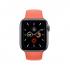 Apple Watch Series 5 Aluminum LTE (44mm)