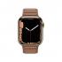 Apple Watch Series 7 45mm LTE