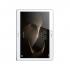 Huawei MediaPad M2 10 
