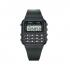 Casio C-80